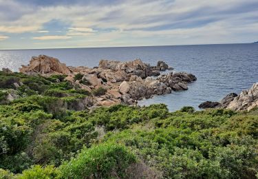 Excursión Senderismo Belvédère-Campomoro - Tour de Campomoro - Photo