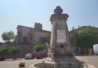 Randonnée Marche Octon - Octon - Chapelle ND de Roubignac et ruine château de Lauzières - Photo