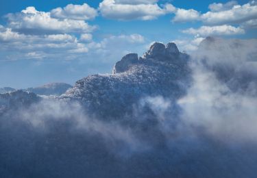 Tour Wandern Saou - Forêt de Saoù - Saint-Médard - Photo