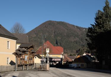 Randonnée A pied Gemeinde Kleinzell - Kleinzell - Schwarzwaldeckhaus - Photo