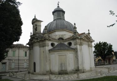 Tocht Te voet Sossano - Sentiero del Grumale - Photo