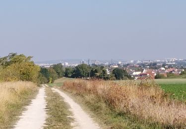 Tour Wandern Reims - RP51-01 Reims à Les Haies - Photo