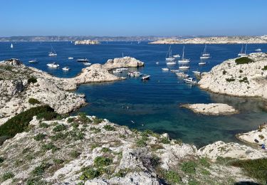 Tocht Stappen Marseille - Frioul - Photo