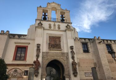 Tour Wandern Sevilla - 20190102 Séville  - Photo
