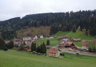 Tocht Stappen Schonach im Schwarzwald - Schonach Triberg  - Photo