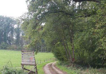 Tocht Stappen Ciney - Errance au domaine de Chevetogne  - Photo