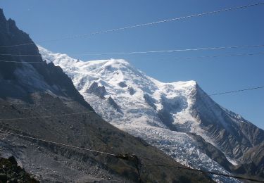Tocht Stappen Chamonix-Mont-Blanc - La Gare des Glaciers - Plan de l'Aiguille - Photo