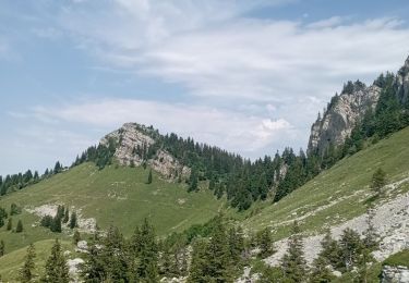 Trail Walking Saint-Pierre-de-Chartreuse - grand sure - Photo