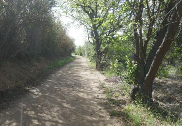 Trail Walking Cabestany - cabestany - Photo