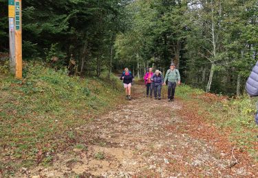 Randonnée Marche Vassieux-en-Vercors - Vassieux - Photo