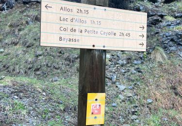 Trail Walking Allos - Lac d’allos  - Photo