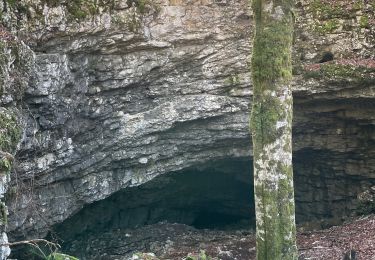 Tour Wandern Saint-Martin-en-Vercors - Herbouilly - Photo