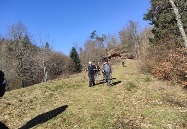 Tocht Stappen Masevaux-Niederbruck - Sickert chalet de Sickert  - Photo