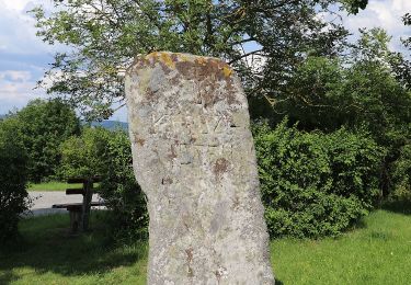 Percorso A piedi Michelau in Oberfranken - Spitzbergrundweg - Photo