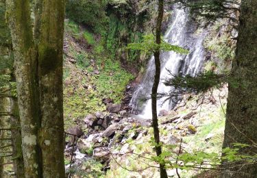 Trail Walking Laveissière - La veissiere Puy de seycheuse - Photo