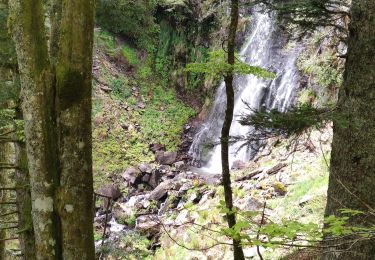 Randonnée Marche Laveissière - La veissiere Puy de seycheuse - Photo