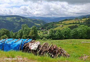 Tour Wandern Woll - la montagne aux Lamas - Photo