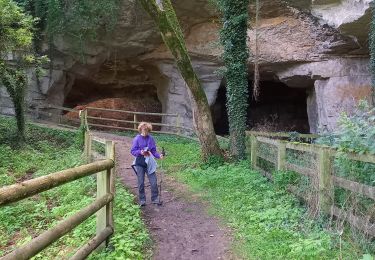 Trail Walking Belleray - grottes de la Falouses - Photo