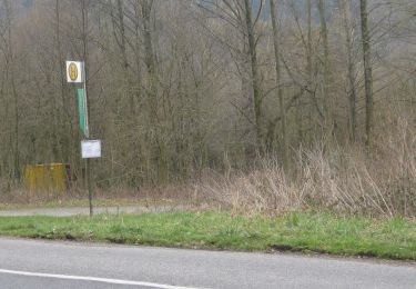 Tocht Te voet Gutsbezirk Reinhardswald - Fuldatal-Wilhelmshausen, Rundweg 2 - Photo