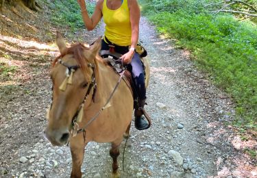 Trail Horseback riding Beaufort - Chez nous à chez Bertrand  - Photo