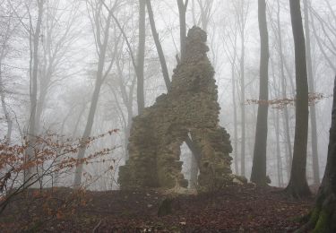 Percorso A piedi Velburg - Rundweg um den Eichelberg - Photo