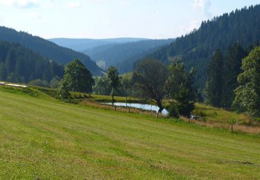 Randonnée A pied Furtwangen im Schwarzwald - Fohrenbühl - Briglirain - Photo