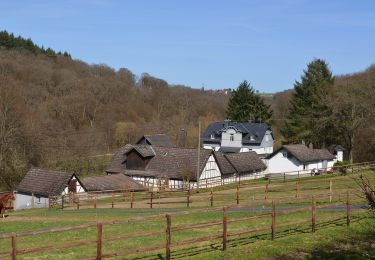 Randonnée A pied Weilrod - Helgenberg- Forst Laubach - Photo