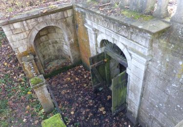 Randonnée A pied Am Großen Rhode - Elm Rundwanderweg 15 - Photo