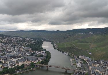 Percorso Marcia Bernkastel-Kues - A travers les Vignes de la Moselle 🌿 - Photo