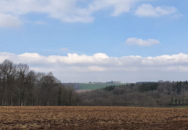 Tour Wandern Houyet - rando custinne 8 /03/2021 - Photo