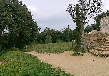 Tocht Te voet Premià de Dalt - SL-C 112 Ruta de l'Esquirol - Photo