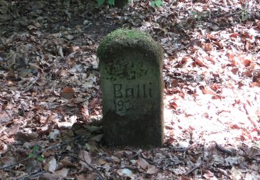 Excursión A pie  - SB5 Unterwegs auf dem Württembergischen Weinwanderweg - Photo