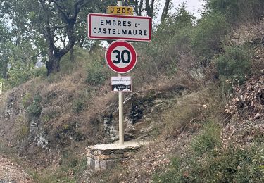 Trail Walking Embres-et-Castelmaure - Ambres et Castelmaure 18/10/2023 - Photo