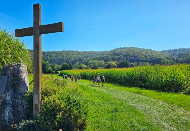 Excursión Senderismo Anhée - Marche Adeps à Anhée - Photo