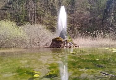 Tocht Stappen Saint-Cassin - jet d'eau de Saint Cassin - Photo