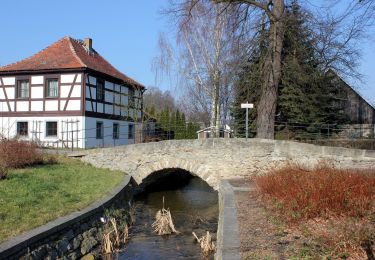 Tour Zu Fuß Kamenz - Gelber Punkt Sandteichrundweg - Photo