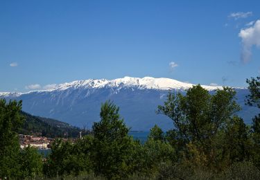 Randonnée A pied Salò - Anello Chiesetta degli Alpini - Salò 2 - Photo