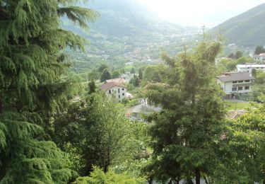 Trail On foot Cenate Sopra - IT-CAI 609 - Photo