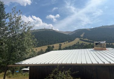 Tour Wandern Beaumont-du-Ventoux - Mont serein 30/08/2024 - Photo