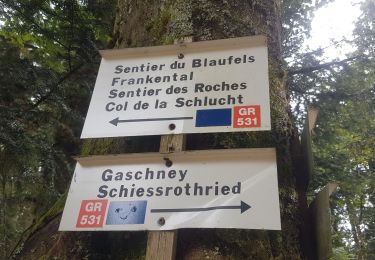 Trail Walking Le Valtin - Rando Serge septembre 2019 - Photo