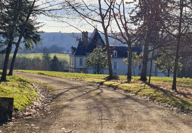 Trail Walking Verneuil-sur-Vienne - Verneuil - Photo