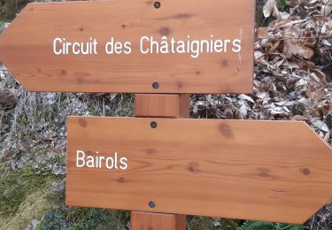 Trail Walking Bairols - trace mont falourde 2023-04-07 - Photo
