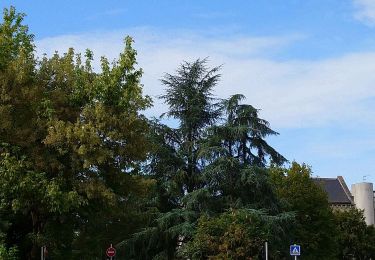 Randonnée Marche Tours - Tours - Prébendes pont Mirabeau pont Napoléon - 6.3km 35m 1h15 - 2017 05 08 - Photo