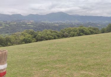 Excursión Bici de montaña Saint-Pée-sur-Nivelle - st pee sur Nivelle  - Photo