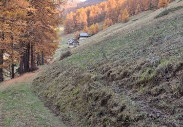 Tour Wandern Guillestre - 2024-11-05 Bramousse - Photo