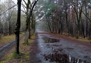 Percorso Camminata nordica Belœil - mielikki  - Photo