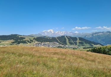 Trail Walking Villard-sur-Doron - Le Chard du Beurre depuis le Hameau du Beaufortain - Photo