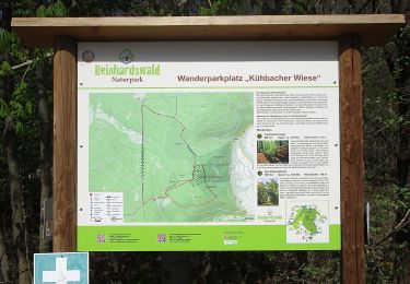 Trail On foot Gutsbezirk Reinhardswald - Udenhäuser Stock, Rundweg 1 - Photo