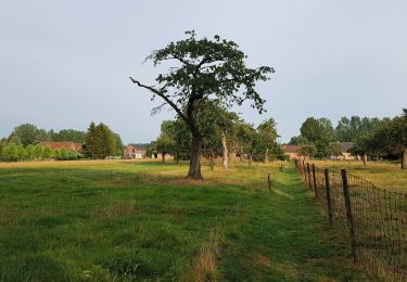 Tocht Stappen Chièvres - Wapi 3.06 - La ronde des Piecentes - Photo