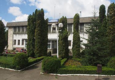 Tour Zu Fuß Rosenau - Fosta Cabană Cheia - Cheile Râșnoavei - Predeal - Photo